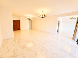 The Cairnhill (D9), Condominium #578507801
